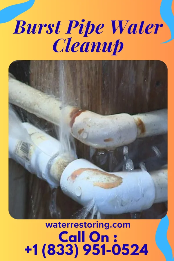 Burst Pipe Water Cleanup in Kenmar, PA
