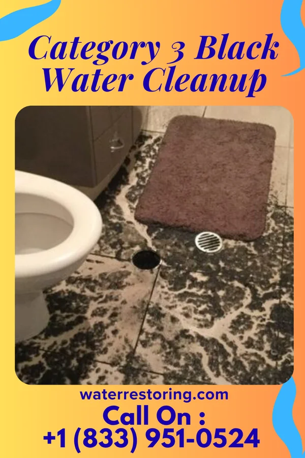 Category 3 Black Water Cleanup in Kenmar, PA