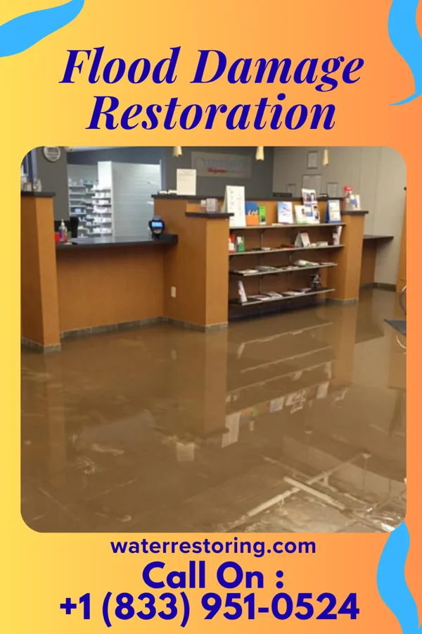 Flood Damage Restoration in Kenmar, PA