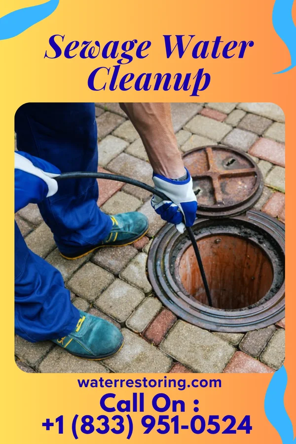 Sewage Water Cleanup in Kenmar, PA