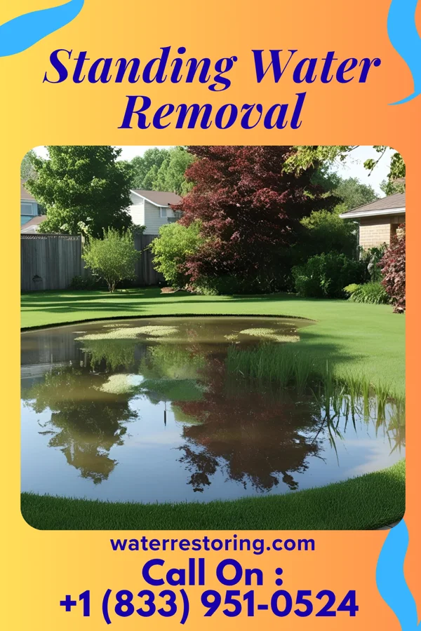 Standing Water Removal in Kenmar, PA